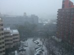 hofodte Tokio